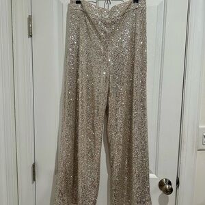 Banana republic Champagne Silver Sequin wide leg pants